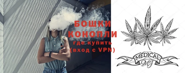 стаф Богданович