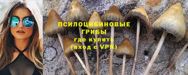 таблы Белокуриха