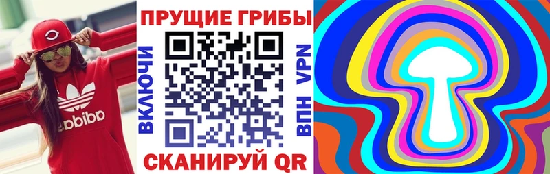 Псилоцибиновые грибы Psilocybe  darknet телеграм  Бикин 